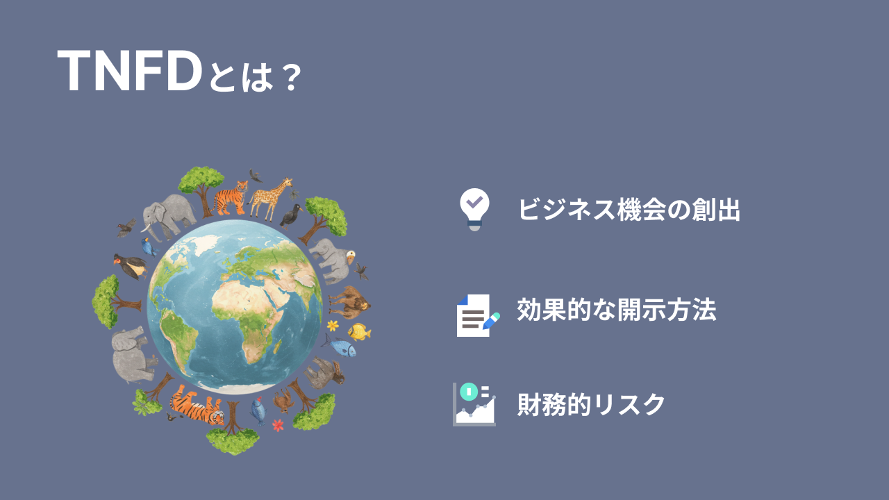 TNFD開示のイメージ